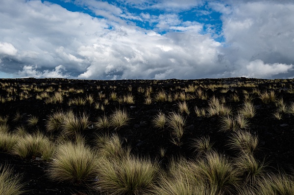 Road North of Kona - That Moment, Click – Laura Higle Photography 