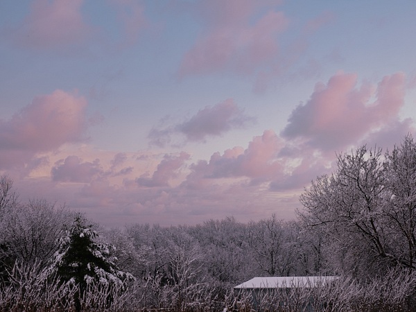 Winter Light 2021 - Landscape - That Moment, Click