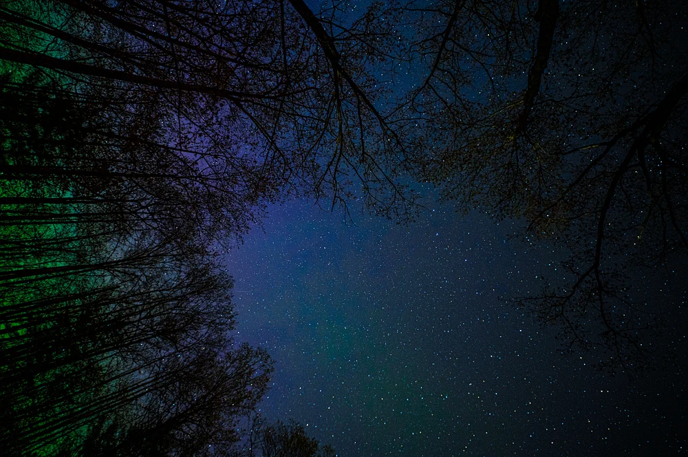 Aurora May 2024 no.5