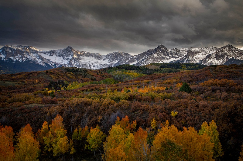 Fall Color in Colorado