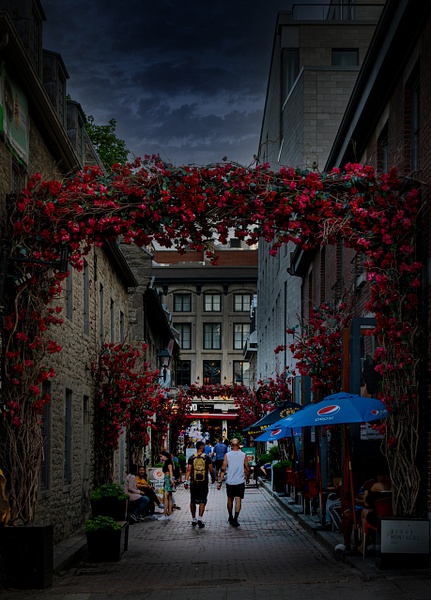 Montreal Old Town_3 - Montreal, Canada - MichaelBrownPhotography