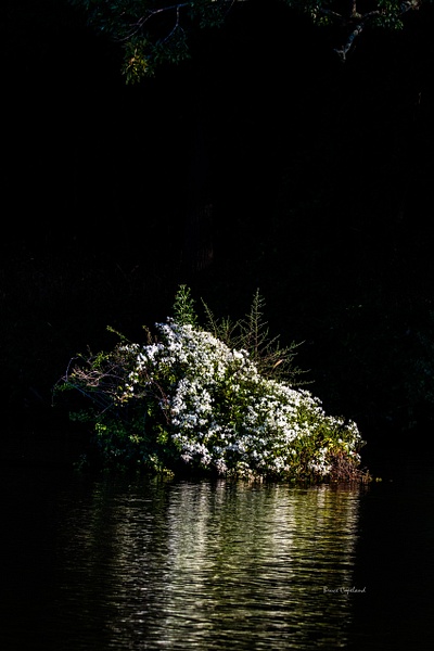 FL-25 - Bruce Copeland Nature & Landscape Photography