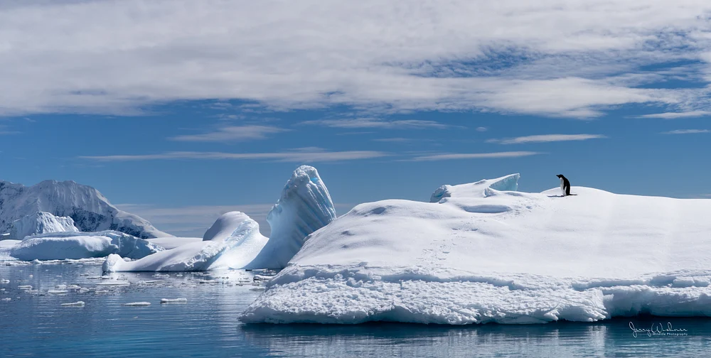 Antarctica_20221205_3619-Edit