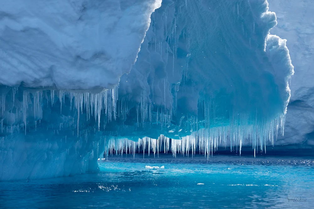 Antarctica_20221207_6527-Edit