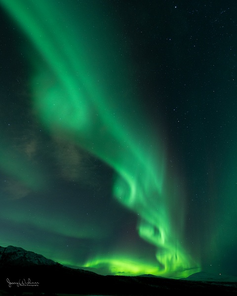 Yukon_20230115_3321-Edit - Aurora Borealis - THE PORTFOLIO OF JERRY WISHNER