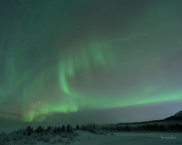 Yukon_20230115_3101-Edit-Edit - Aurora Borealis - THE PORTFOLIO OF JERRY WISHNER 