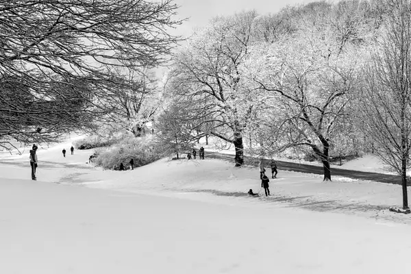 Snow Day, Sherwood Park by jacquelynsloanesiklos
