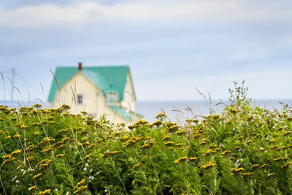 Blue roof, Gaspe by jacquelynsloanesiklos