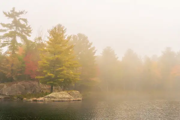 Misty Day, Stoney Lake by jacquelynsloanesiklos