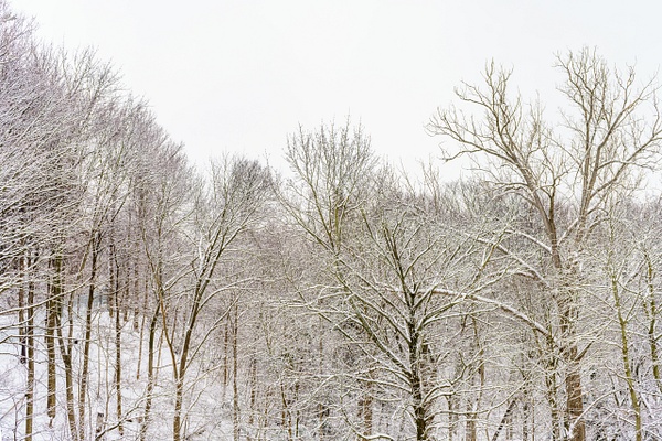 Snow Day, Toronto - Recent work - SLOANE SIKLOS PHOTOGRAPHY