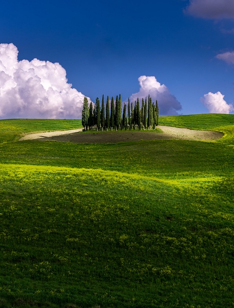 Val d'Orcia 3©Armand.Photography-2