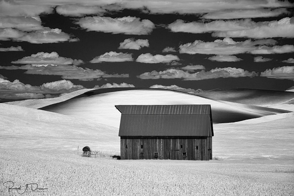 Cloud Shadows and Barn, Palouse