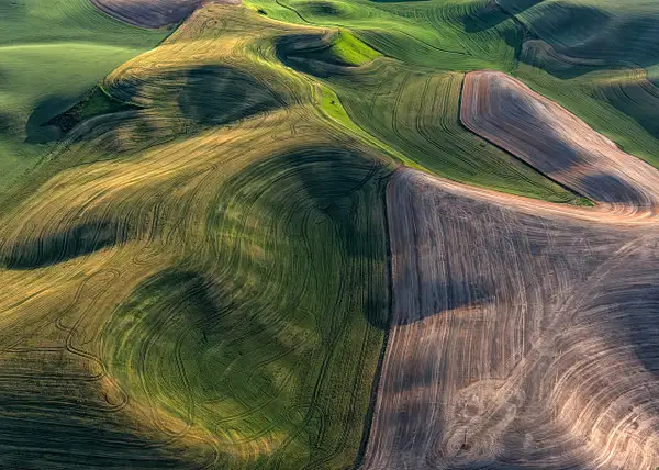 Arial_Palouse_NOsig by Rad Drew