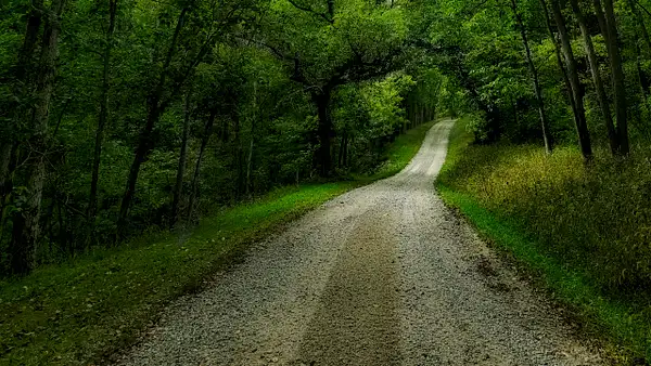 Country_Road_Indiana_NO_sig by Rad Drew