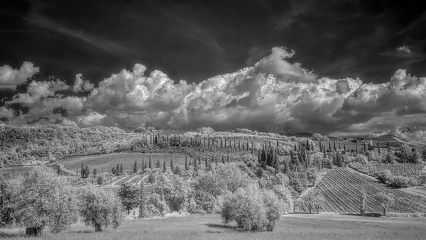 Panoramic_Tuscany_Scene_IR_noSIG - Rad A. Drew Photography 