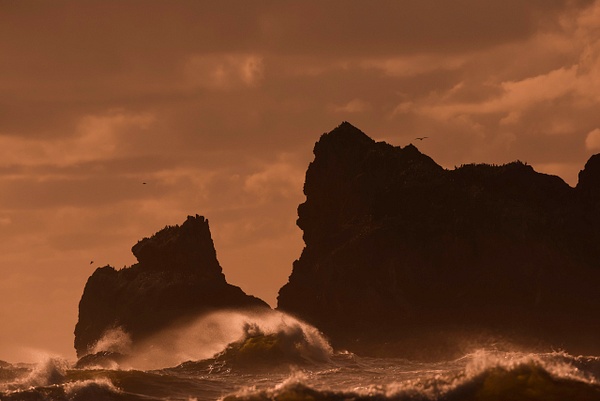 ocean shore waves scenic - Wes Uncapher