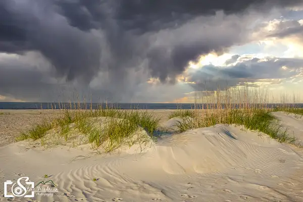 Beach and Dunes by Steve Friedman