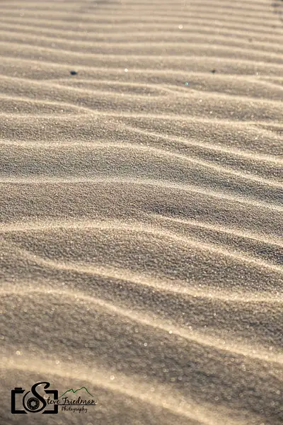 Sand Dunes by Steve Friedman