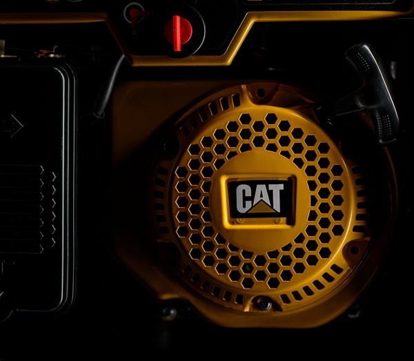 Cat Generator - Eric Eggly 