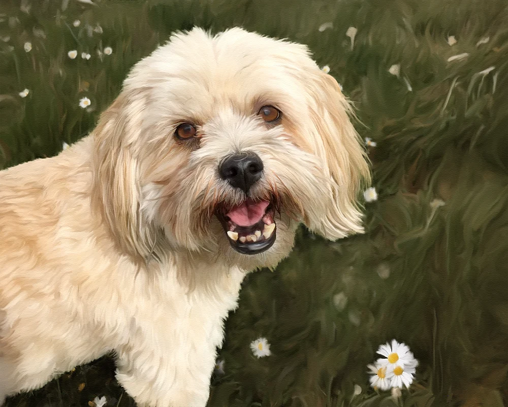 Gracie Painting@1.5x