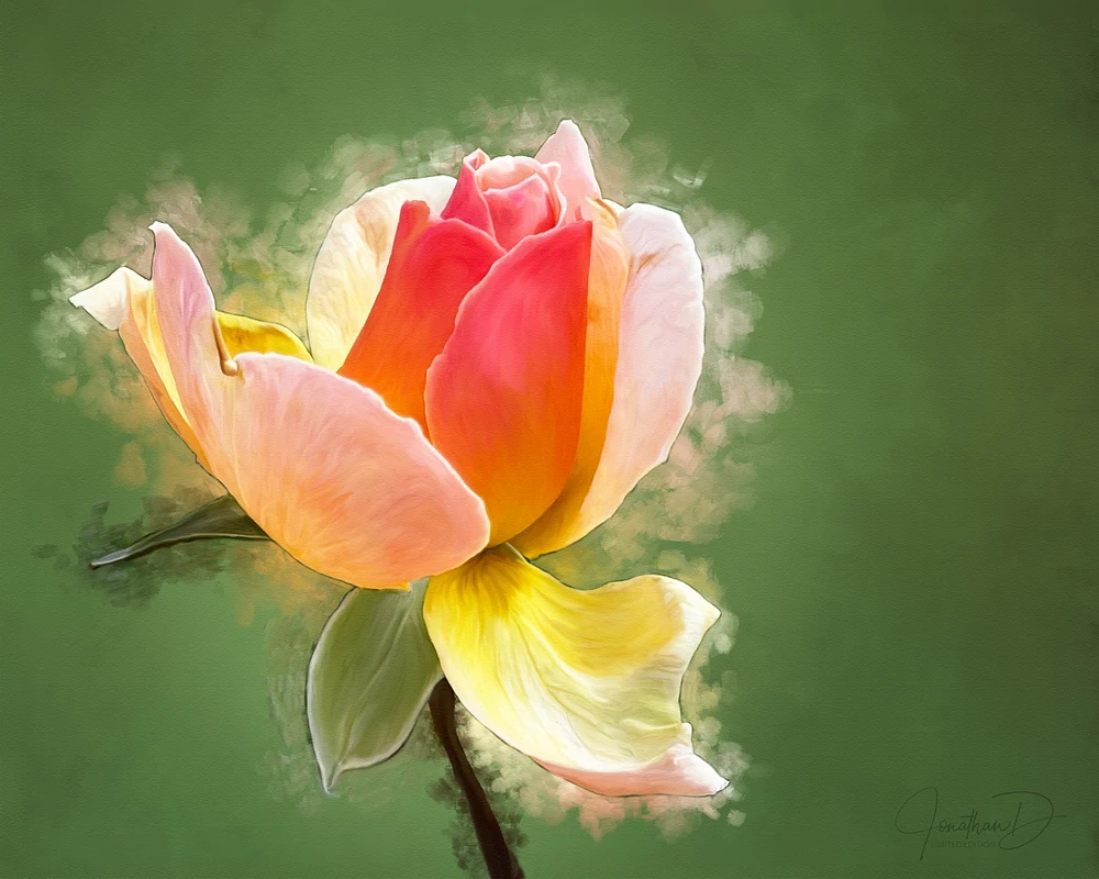 Backyard Peace Rose Painting
