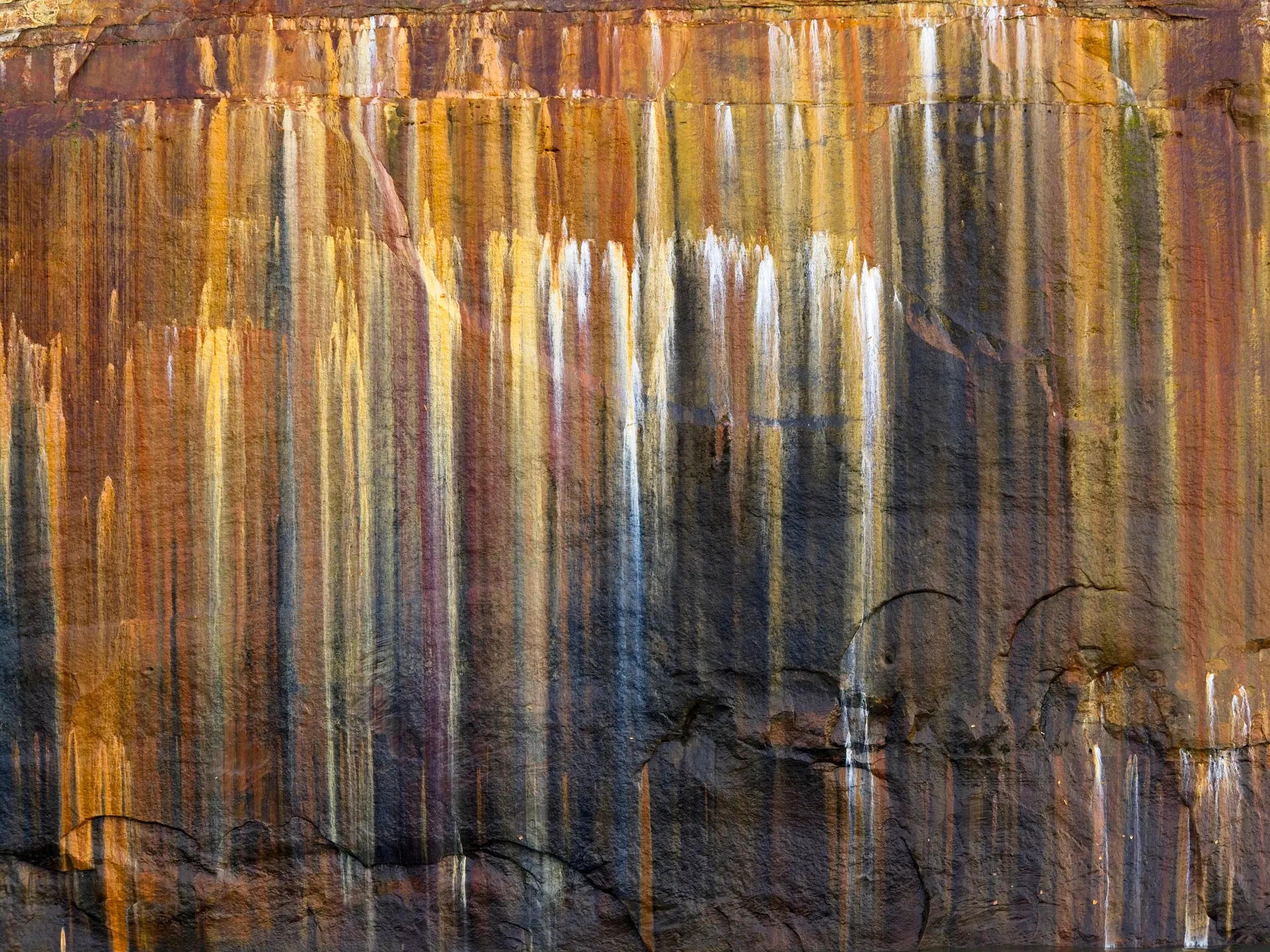johnmowry's Gallery