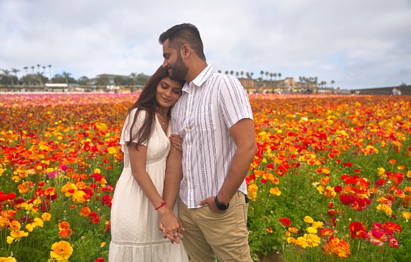 Carlsbad Flower Field Engagement - Portraits - Tinoco Images 
