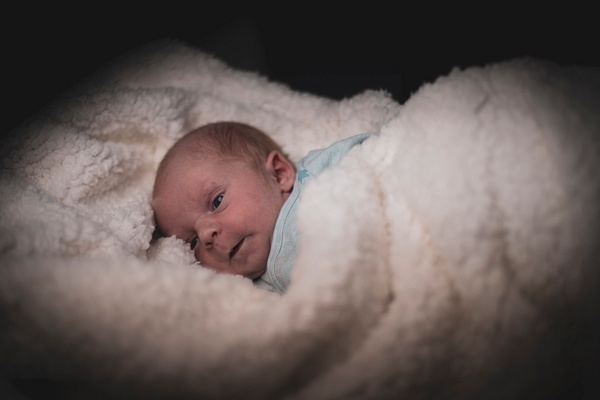 Waylon Newborn-1419 - Newborn - Brad Humphries 