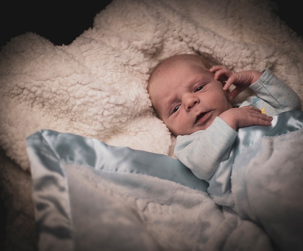 Waylon Newborn-1428 - Newborn - Brad Humphries