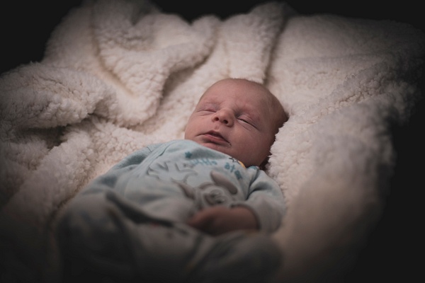 Waylon Newborn-1412 - Newborn - Brad Humphries