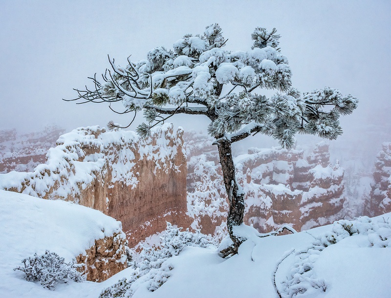 Bryce Canyon Winter