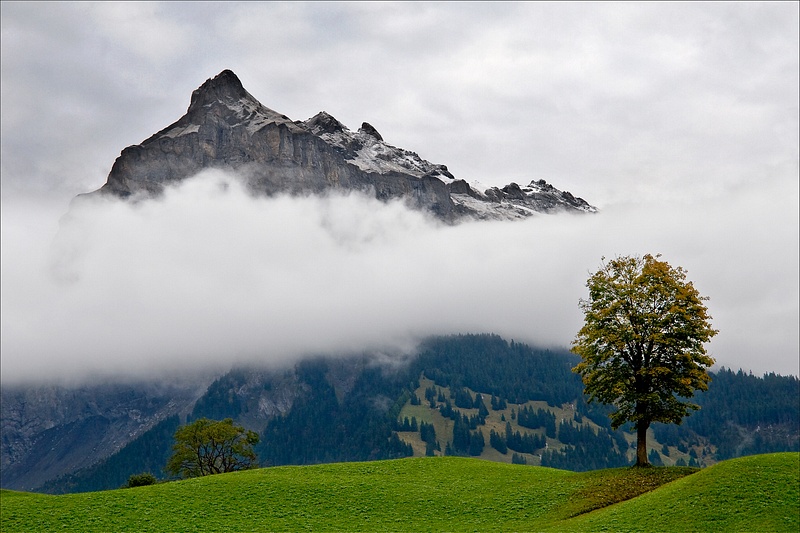 Mountain, Cloud and Tree