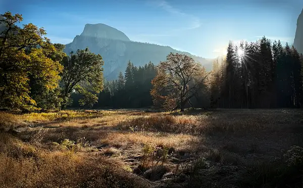 Cook's Meadow Morning by Fotoclave Gallery