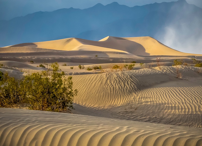 Death Valley Mesquite Dunes