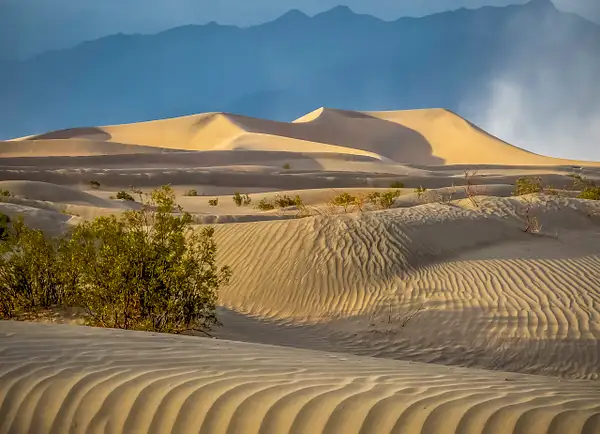 Death Valley Mesquite Dunes by Fotoclave Gallery