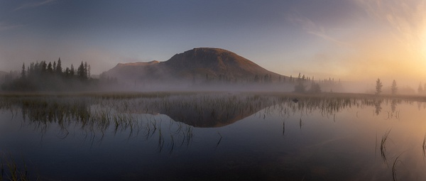 skogshorn morgentåke - Hemsedal - Terje Svendsen