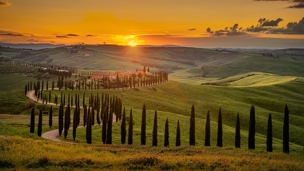 Sunsr Tuscany 2 - Landscapes - Terje Photography