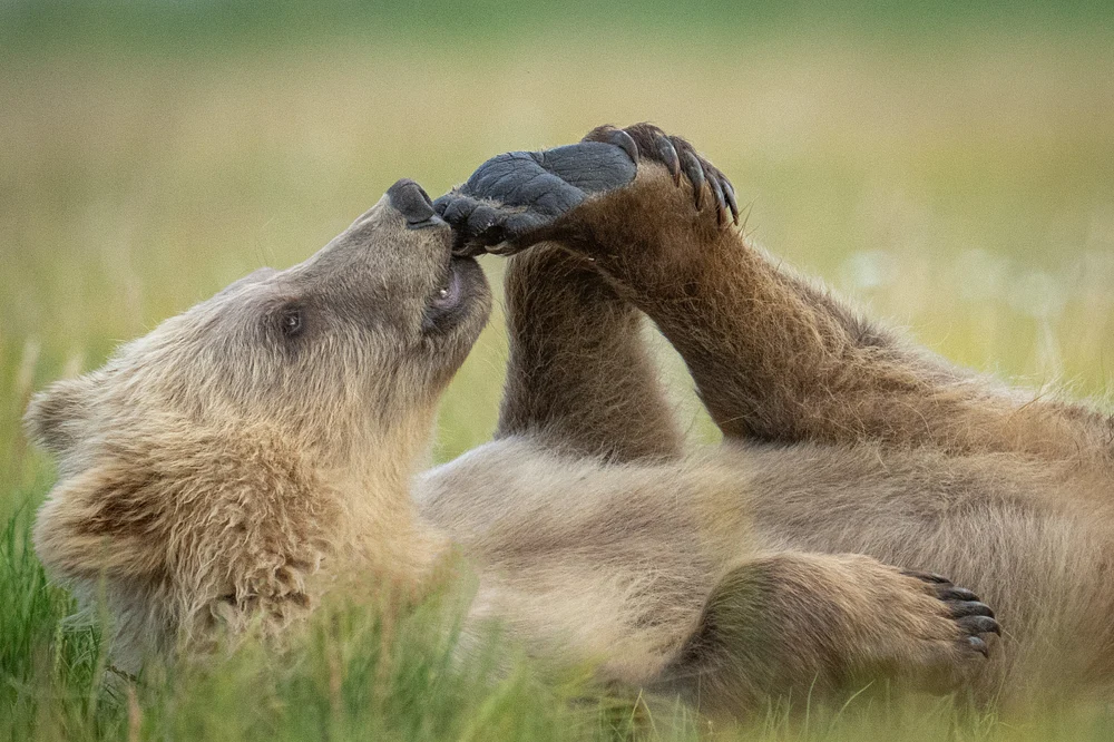 Yoga pose