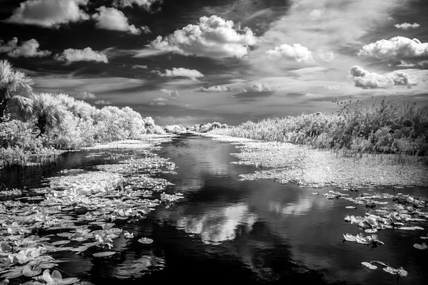 The Waterway - Landscapes - Gwen Kurzen Photo