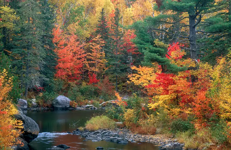 Fall on the Pleasant River