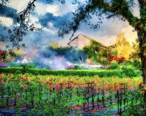 Napa Fire and Mist by belindacarr
