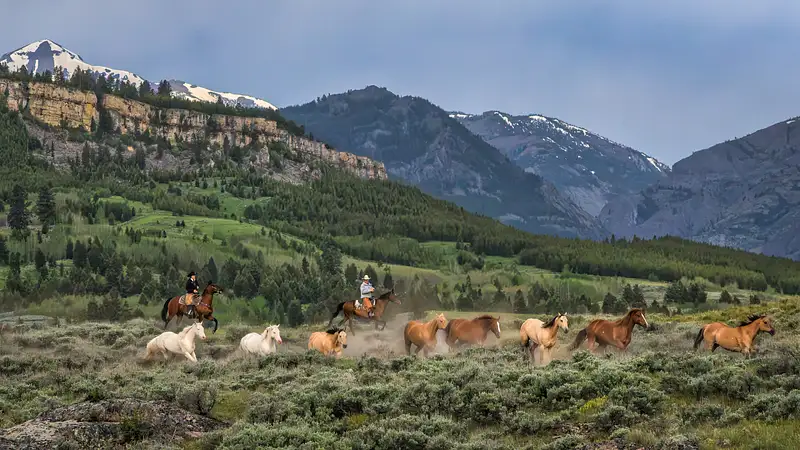 The Gathering