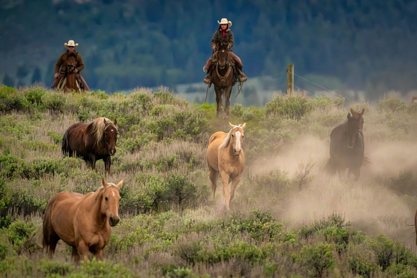 Driving Home - Ranch Life - Grateful Journeys Photography