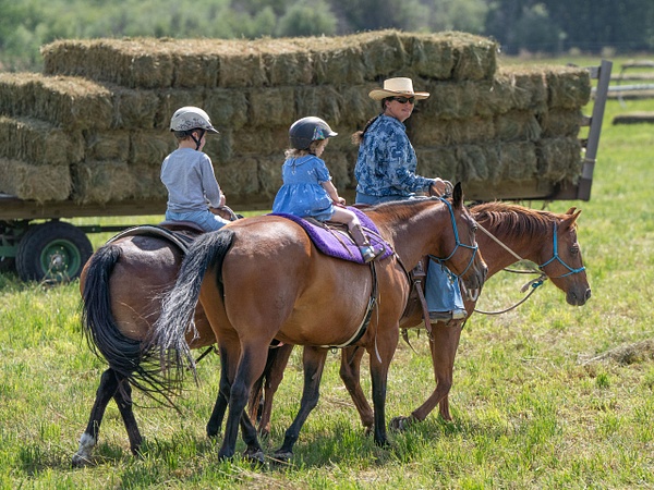 Family:) - Summer Staff 2026 - Grateful Journeys Photography