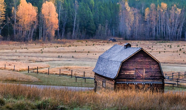 Autumn - Homepage - Grateful Journeys Photography