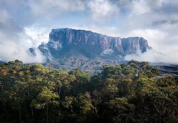 Kukenan-Tepui-emerges-from-the-mist,-Canaima-National-Park,-Venezuela - IAN PLANT 