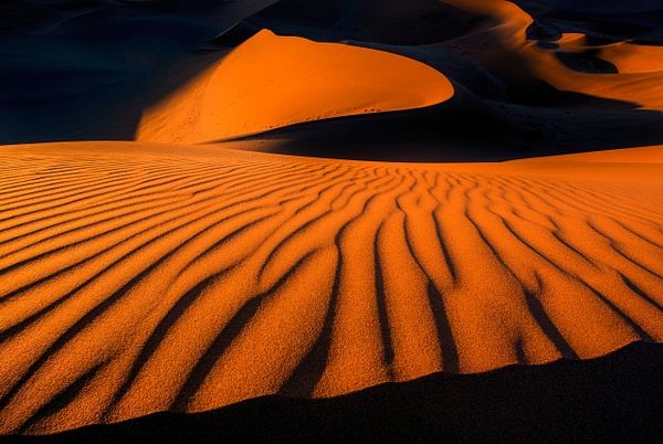 Dunes-at-sunset,--Namib-Naukluft-National-Park,-Namibia - IAN PLANT 