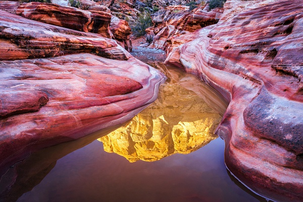 Rainwater-pool-reflections-3,-Valley-of-Fire-State-Park,-Nevada,-USA - IAN PLANT 