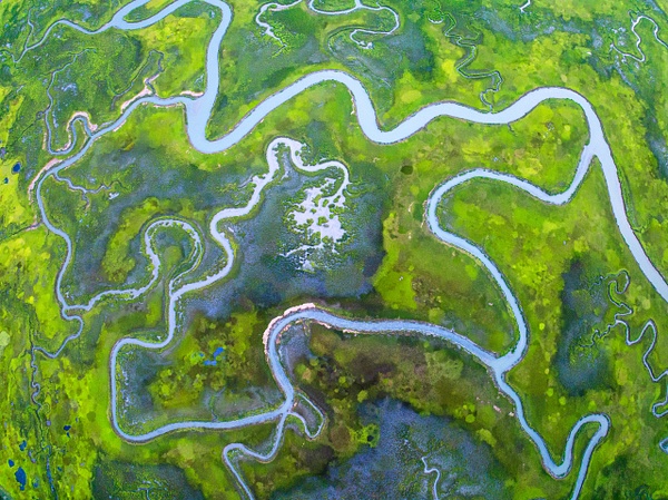 Salt-marsh-aerial-49,-Eastern-Shore,-Virginia,-USA - IAN PLANT