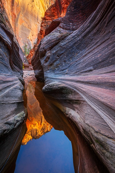 Echo-Canyon-reflections-2,-Zion-National-Park,-Utah,-USA - IAN PLANT 
